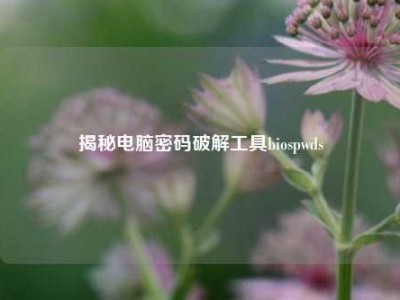 揭秘电脑密码破解工具biospwds