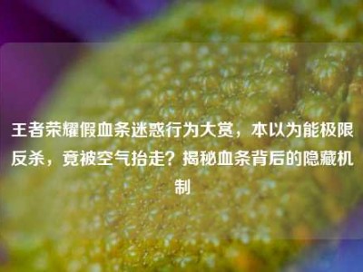 王者荣耀假血条迷惑行为大赏，本以为能极限反杀，竟被空气抬走？揭秘血条背后的隐藏机制