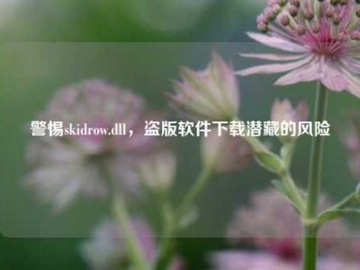 警惕skidrow.dll，盗版软件下载潜藏的风险