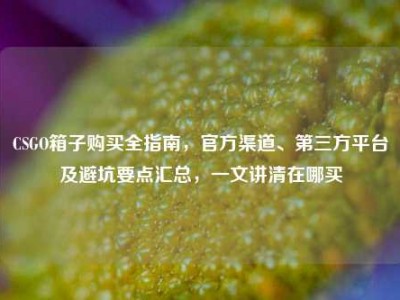 CSGO箱子购买全指南，官方渠道、第三方平台及避坑要点汇总，一文讲清在哪买