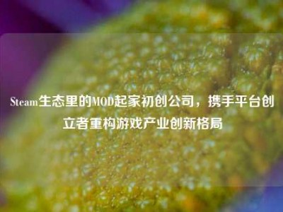 Steam生态里的MOD起家初创公司，携手平台创立者重构游戏产业创新格局