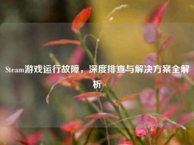 Steam游戏运行故障，深度排查与解决方案全解析