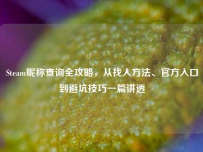 Steam昵称查询全攻略，从找人方法、官方入口到避坑技巧一篇讲透