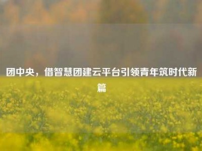 团中央，借智慧团建云平台引领青年筑时代新篇