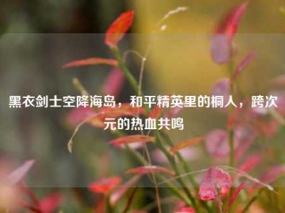 黑衣剑士空降海岛，和平精英里的桐人，跨次元的热血共鸣