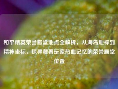 和平精英荣誉殿堂地点全解析，从海岛地标到精神坐标，探寻藏着玩家热血记忆的荣誉殿堂位置