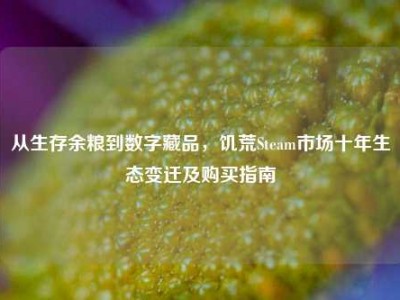 从生存余粮到数字藏品，饥荒Steam市场十年生态变迁及购买指南