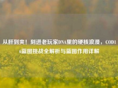 从肝到爽！刻进老玩家DNA里的硬核浪漫，COD16蓝图挑战全解析与蓝图作用详解