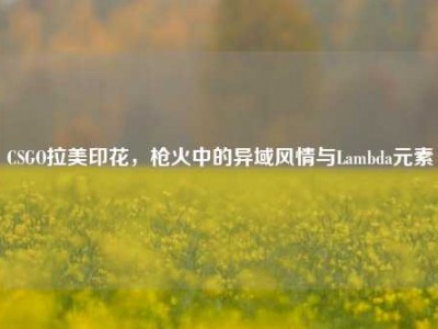 CSGO拉美印花，枪火中的异域风情与Lambda元素
