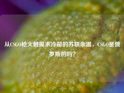 从CSGO枪火触摸未冷却的苏联余温，CSGO是俄罗斯的吗？