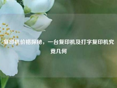 复印机价格探秘，一台复印机及打字复印机究竟几何