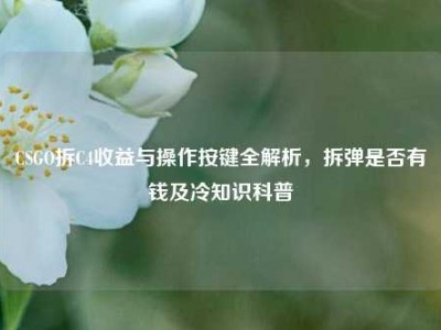 CSGO拆C4收益与操作按键全解析，拆弹是否有钱及冷知识科普