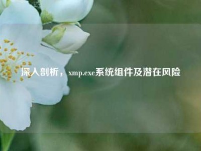 深入剖析，xmp.exe系统组件及潜在风险
