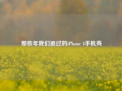 那些年我们追过的iPhone 4手机壳