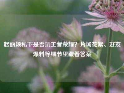 赵丽颖私下是否玩王者荣耀？片场花絮、好友爆料等细节里藏着答案