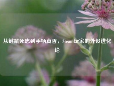 从键鼠死忠到手柄真香，Steam玩家的外设进化论