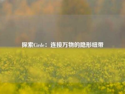 探索Cirde：连接万物的隐形纽带