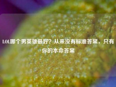 LOL哪个男英雄最好？从来没有标准答案，只有你的本命答案