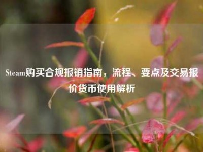 Steam购买合规报销指南，流程、要点及交易报价货币使用解析