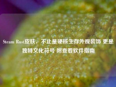 Steam Rust皮肤，不止是硬核生存外观装饰 更是独特文化符号 附查看软件指南