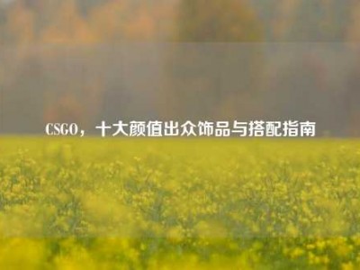 CSGO，十大颜值出众饰品与搭配指南