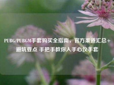 PUBG/PUBGM手套购买全指南，官方渠道汇总+避坑要点 手把手教你入手心仪手套