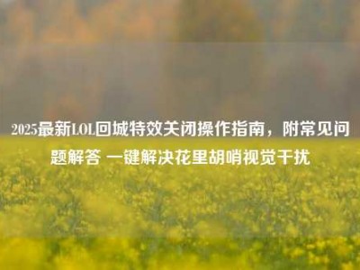 2025最新LOL回城特效关闭操作指南，附常见问题解答 一键解决花里胡哨视觉干扰
