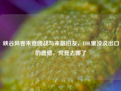 峡谷风卷未竟团战与未散旧友，LOL里没说出口的遗憾，究竟去哪了