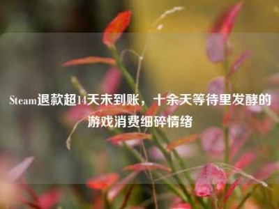 Steam退款超14天未到账，十余天等待里发酵的游戏消费细碎情绪