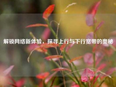 解锁网络新体验，探寻上行与下行宽带的奥秘