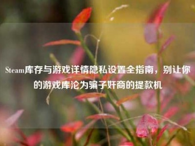 Steam库存与游戏详情隐私设置全指南，别让你的游戏库沦为骗子奸商的提款机