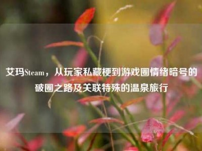 艾玛Steam，从玩家私藏梗到游戏圈情绪暗号的破圈之路及关联特殊的温泉旅行
