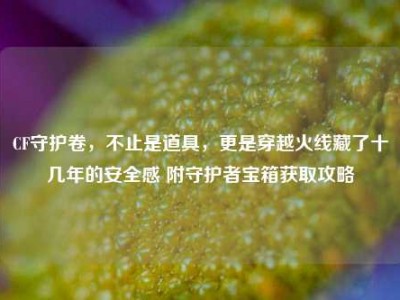 CF守护卷，不止是道具，更是穿越火线藏了十几年的安全感 附守护者宝箱获取攻略
