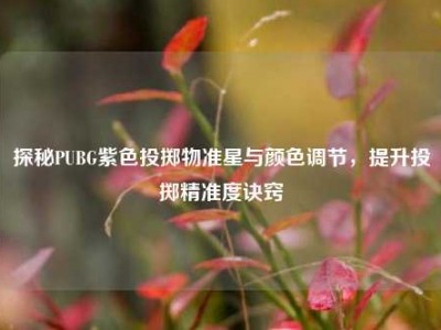 探秘PUBG紫色投掷物准星与颜色调节，提升投掷精准度诀窍