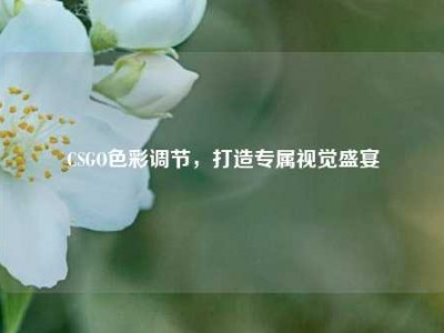 CSGO色彩调节，打造专属视觉盛宴