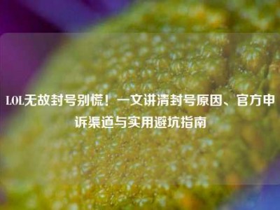 LOL无故封号别慌！一文讲清封号原因、官方申诉渠道与实用避坑指南