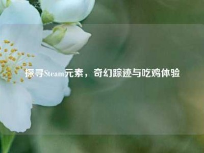 探寻Steam元素，奇幻踪迹与吃鸡体验