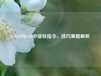 CSGO与CAD中旋转指令，技巧策略解析