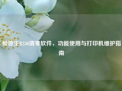 爱普生R230清零软件，功能使用与打印机维护指南