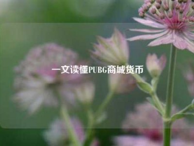 一文读懂PUBG商城货币