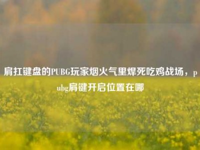 肩扛键盘的PUBG玩家烟火气里焊死吃鸡战场，pubg肩键开启位置在哪
