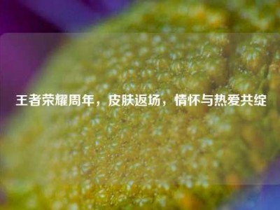 王者荣耀周年，皮肤返场，情怀与热爱共绽