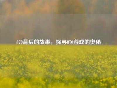 870背后的故事，探寻870游戏的奥秘