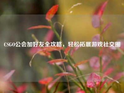 CSGO公会加好友全攻略，轻松拓展游戏社交圈