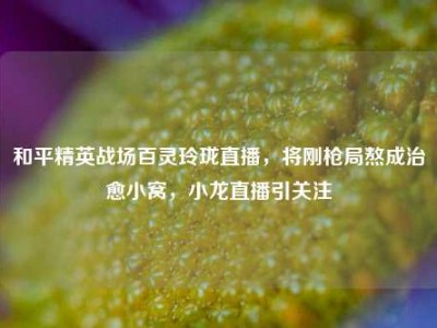 和平精英战场百灵玲珑直播，将刚枪局熬成治愈小窝，小龙直播引关注