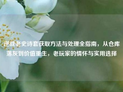 逆战老史诗套获取方法与处理全指南，从仓库落灰到价值重生，老玩家的情怀与实用选择
