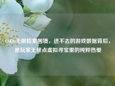 CSGO无限检索困境，进不去的游戏数据背后，是玩家无终点虚拟寻宝里的纯粹热爱