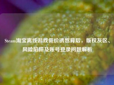 Steam淘宝离线游戏低价诱惑背后，版权灰区、风险陷阱及账号登录问题解析