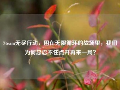 Steam无尽行动，困在无限循环的战场里，我们为何总忍不住点开再来一局？