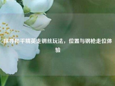 探寻和平精英走钢丝玩法，位置与钢枪走位体验